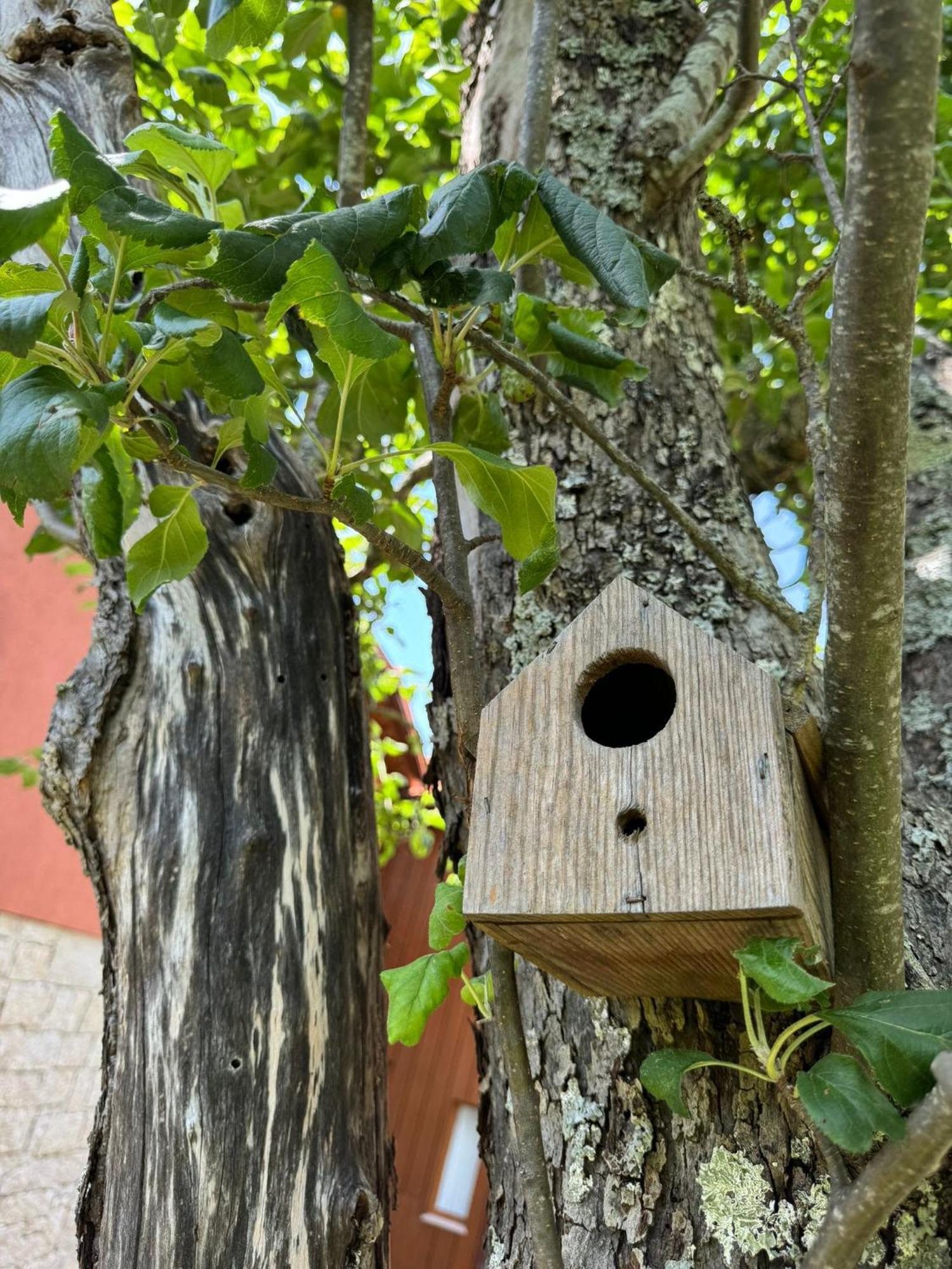 Casa Das Castanhas - Cinfaes, Viseu Екстериор снимка